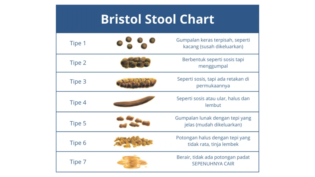 Bristol Stool Chart