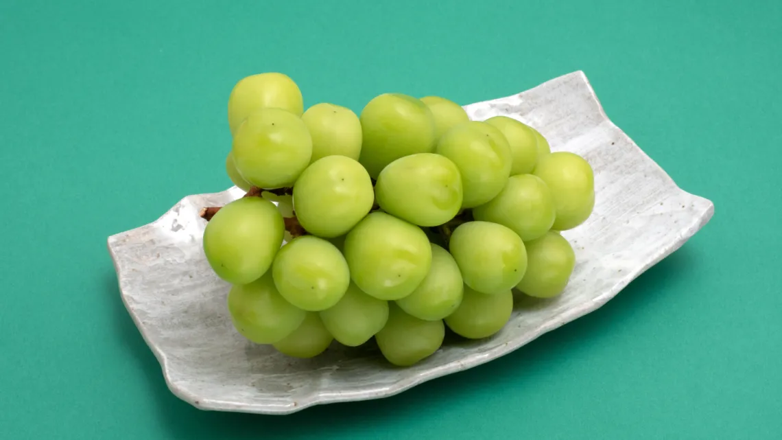 Heboh! Ada Residu Beracun pada Anggur Shine Muscat